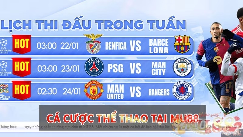 Thể thao(3) ca-cuoc-The-Thao-tai-Mu88.jpg